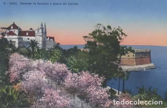 Postales: CADIZ SIN ESCRIBIR ALAMEDA DE APODACA