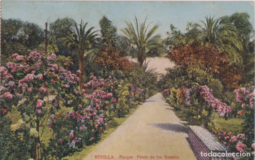 Postales: SEVILLA, PARQUE, PASEO DE LOS ROSALES - TOMAS SANZ N&ordm;15 - S/C