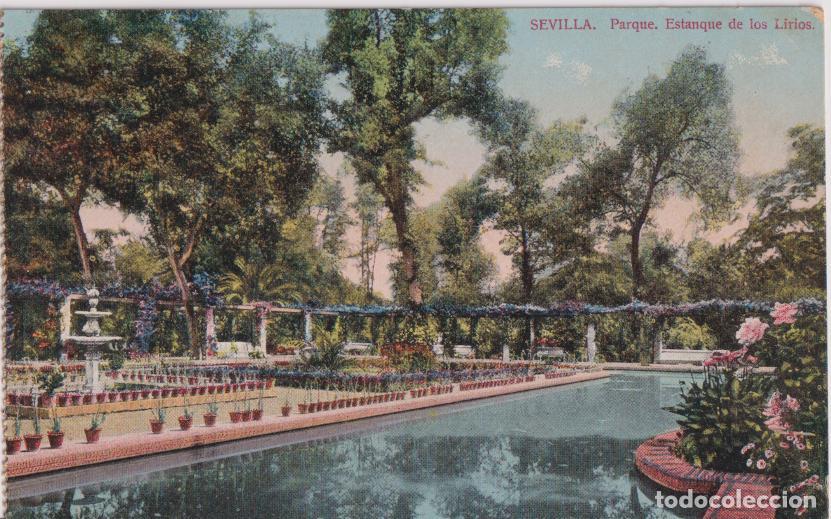 Postales: SEVILLA, PARQUE, ESTANQUE DE LOS LIRIOS - TOMAS SANZ N&ordm;13 - S/C