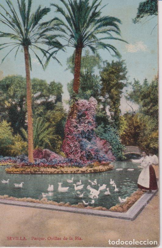 Postales: SEVILLA, PARQUE, OVILLAS DE LA RIA - TOMAS SANZ N&ordm;20 - S/C