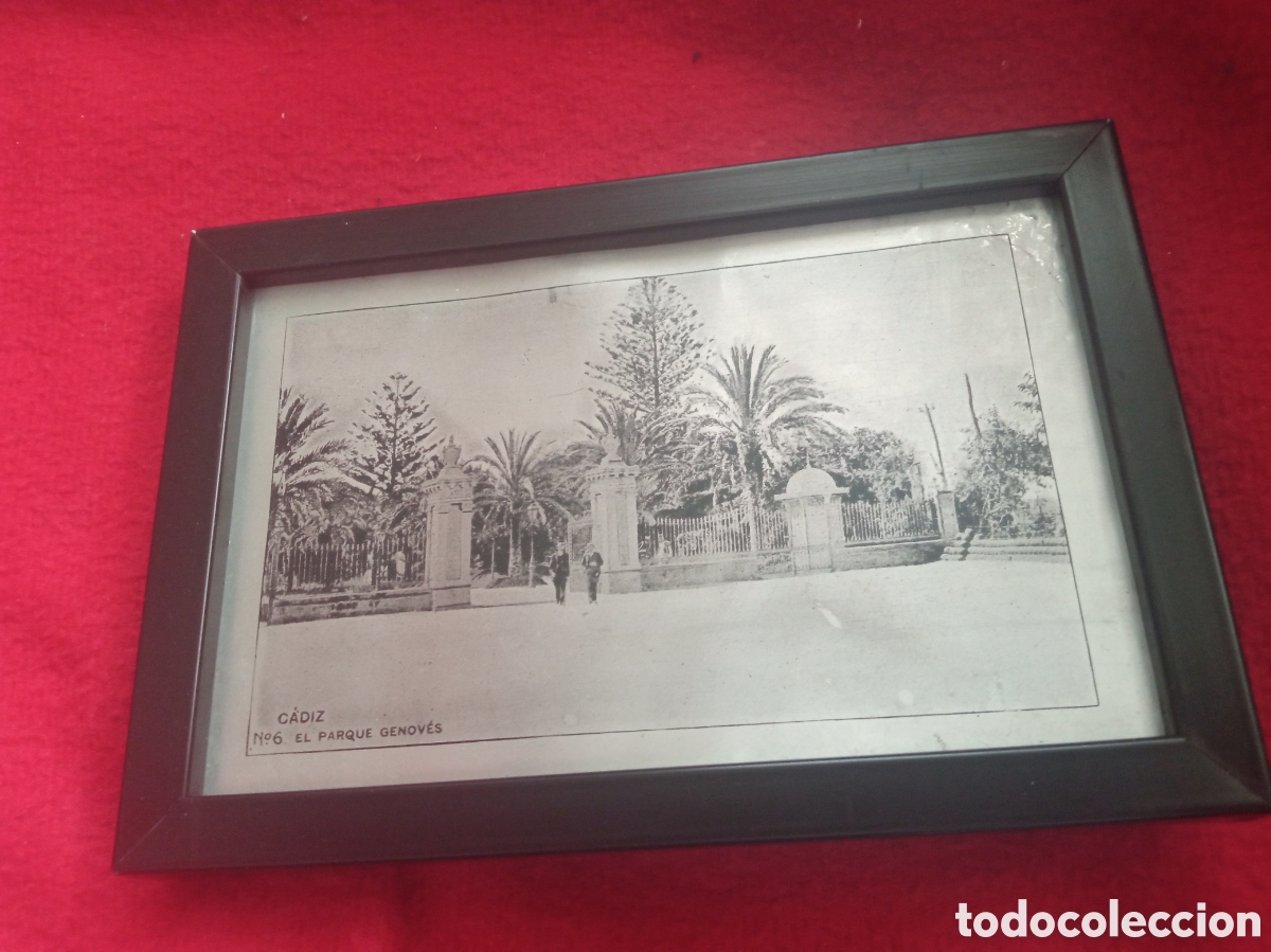 Postales: C&aacute;diz, El Parque Genov&eacute;s, antigua postal en aluminio enmarcada, mide 15,6x10,6cm