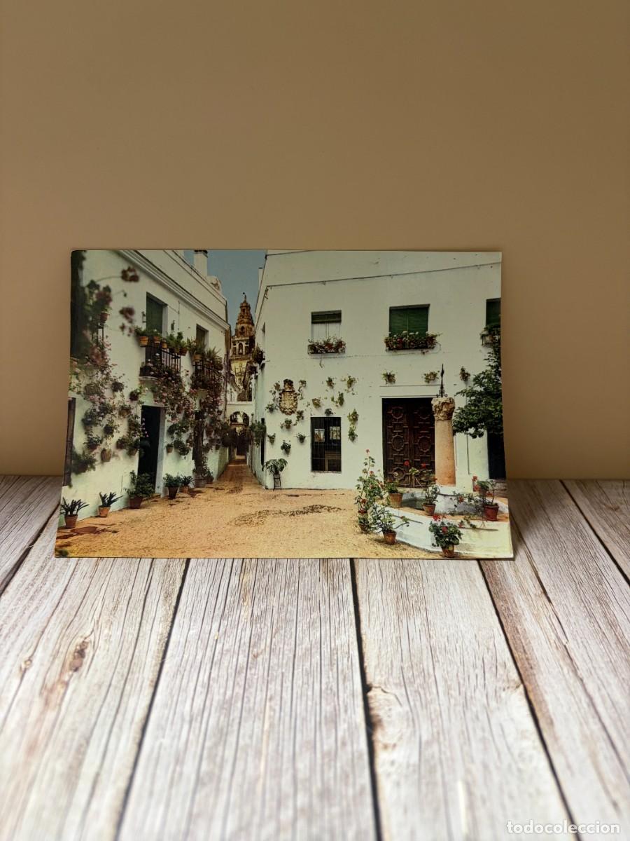 Postales: TARJETA POSTAL. C&Oacute;RDOBA. 2126.- PATIO DE LA CALLEJA DE LAS FLORES. EDICIONES ARRIBAS