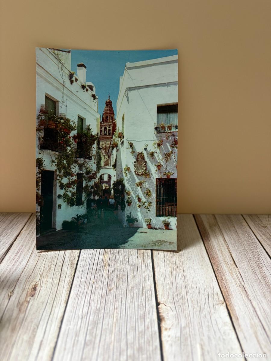 Postales: TARJETA POSTAL. C&Oacute;RDOBA. 2114.- CALLEJA DE LAS FLORES. EDICIONES ARRIBAS