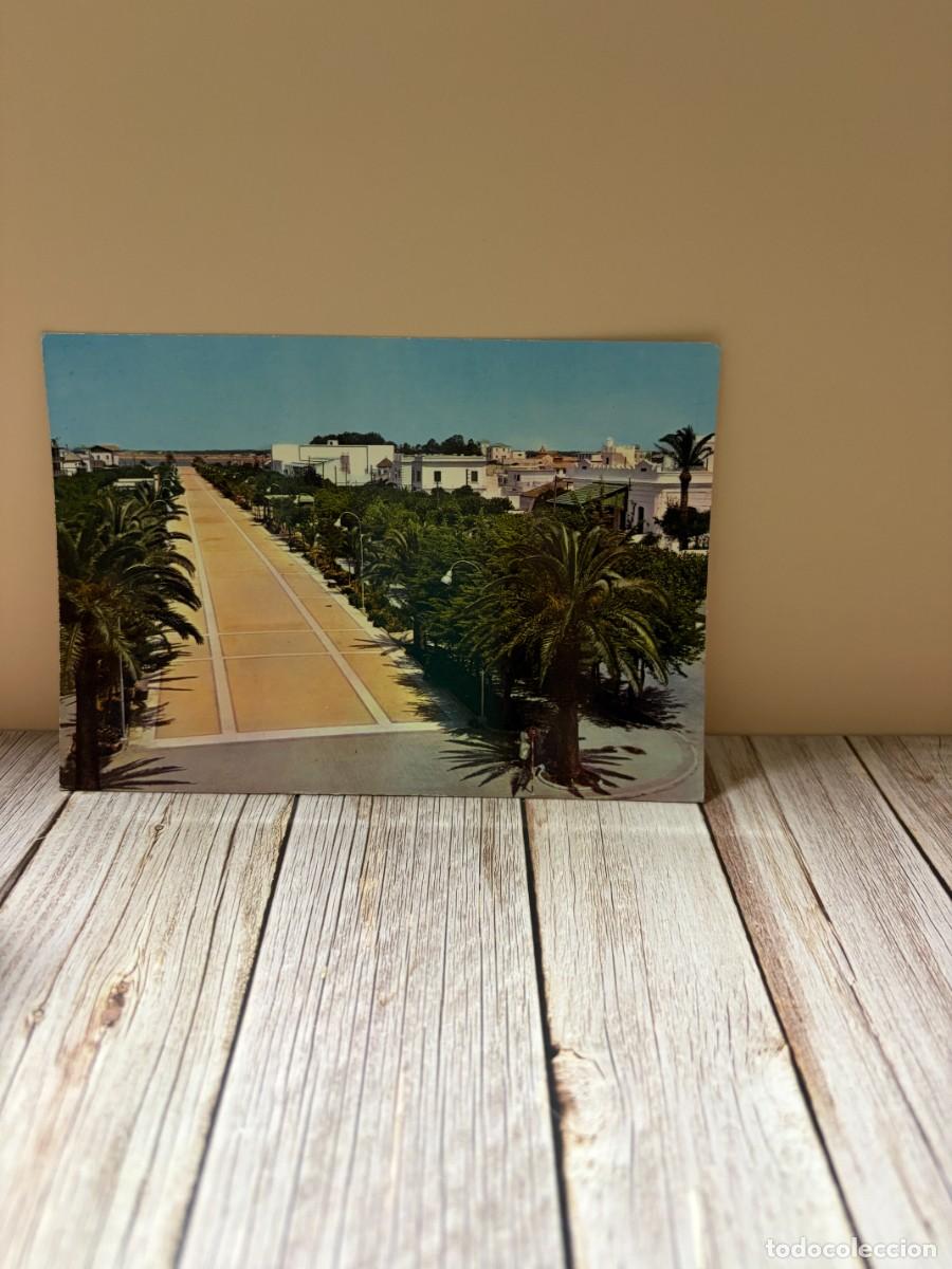Postales: TARJETA POSTAL. C&Aacute;DIZ. 2002.- SANLUCAR DE BARRAMEDA. CALZADA DEL EJERCITO Y PASEO MAR&Iacute;TIMO. ARRIBAS