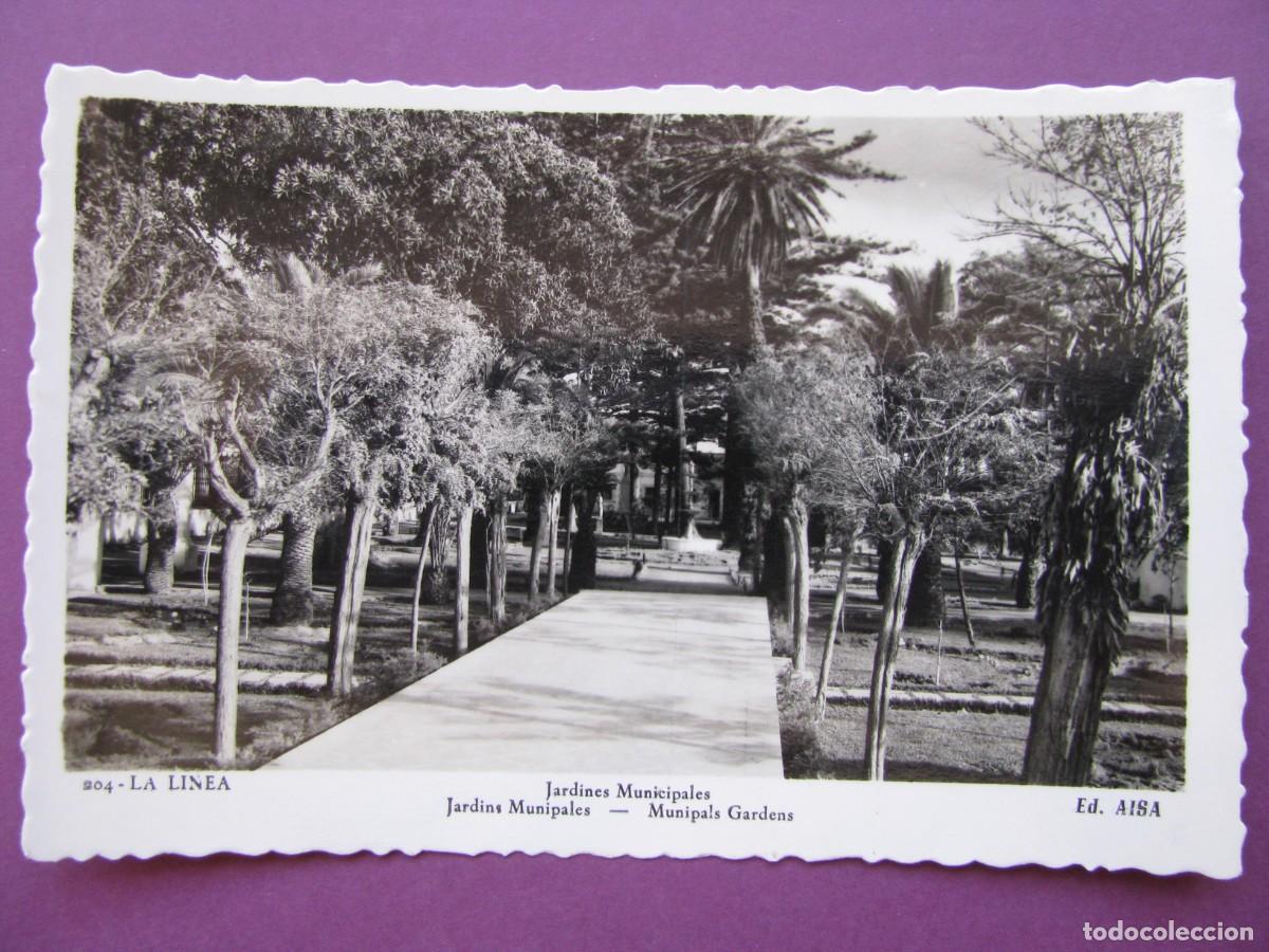 Postales: POSTAL FOTOGR&Aacute;FICA DE LA LINEA. JARDINES MUNICIPALES. AISA. 204