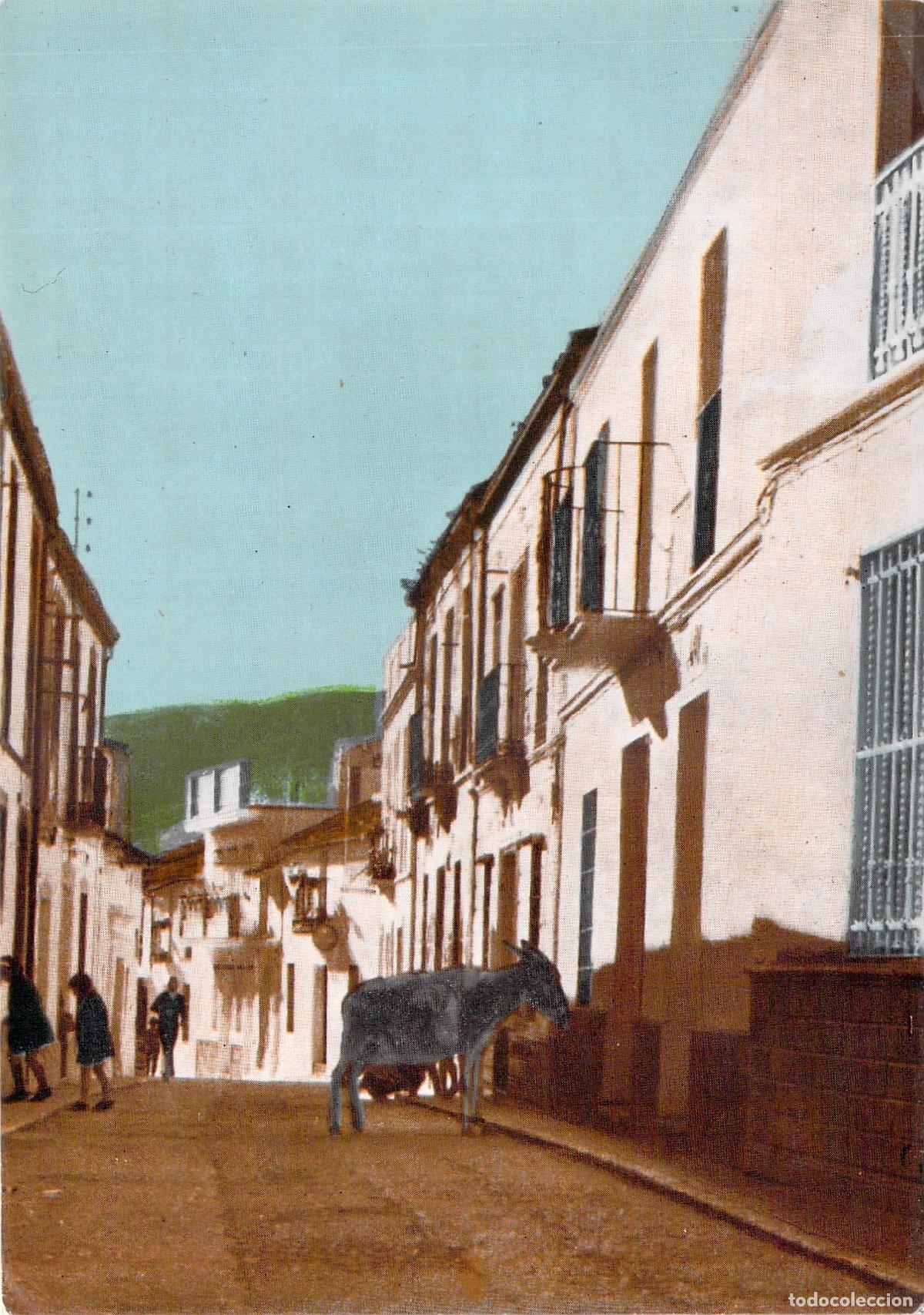 Postales: Postal de la Calle San Sebasti&aacute;n en Cortes de la Frontera Malaga