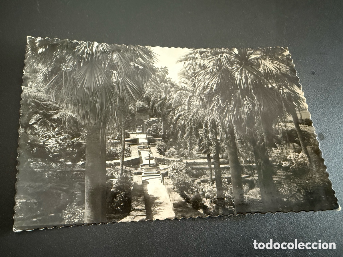 Postales: Postal SEVILLA. Reales Alc&aacute;zares Jardines