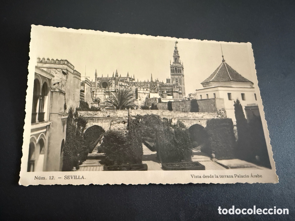 Postales: Postal 12. SEVILLA. Vista desde la terraza. Palacio &Aacute;rabe