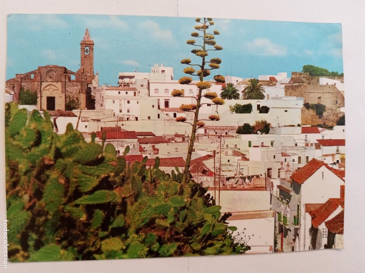 Postales: POSTAL DE VEJER DE LA FRONTERA ( CADIZ ): VISTA PANORAMICA . A&Ntilde;OS 70