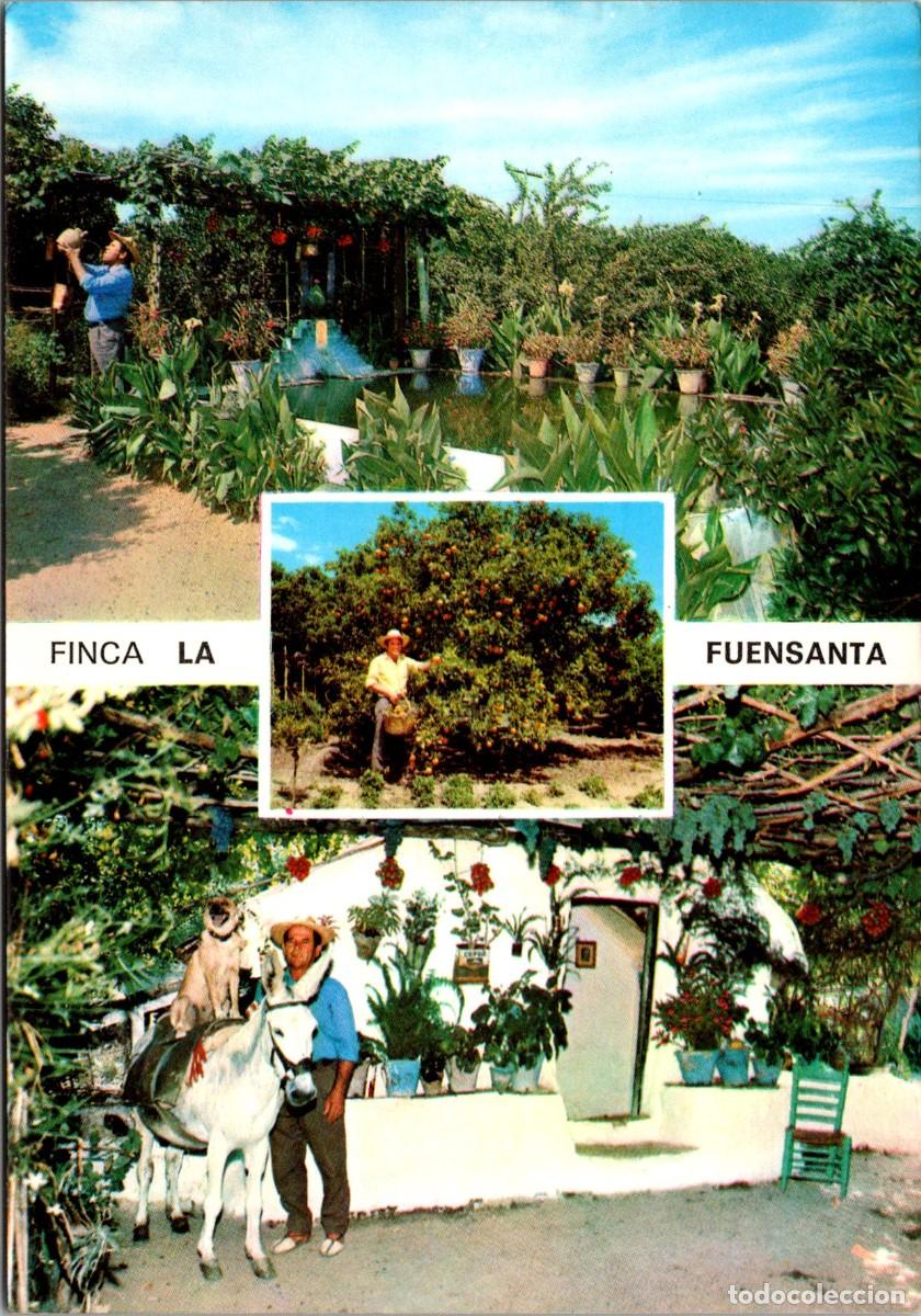 Postales: Co&iacute;n - Finca La Fuensanta - Ed. Cinefilm 2600 - 149x104mm - Burro