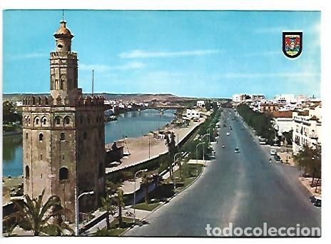 Postales: TORRE DEL ORO Y PASEO DE COLON.- SEVILLA