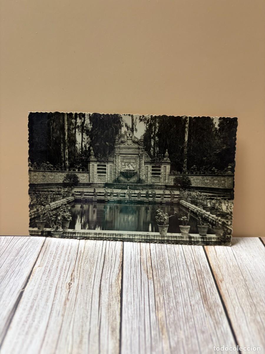 Postales: TARJETA POSTAL FOTOGR&Aacute;FICA. SEVILLA. PARQUE DE MAR&Iacute;A LUISA.