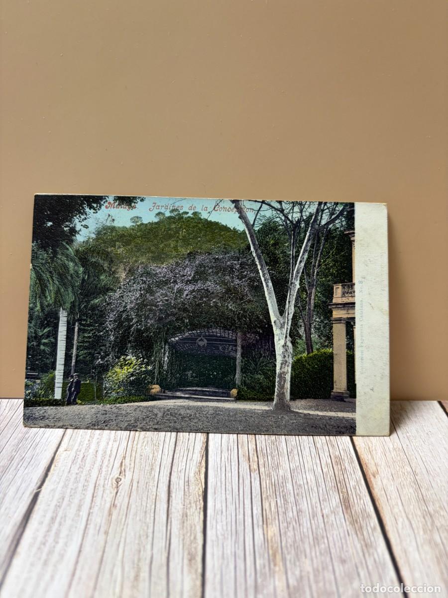 Postales: TARJETA POSTAL. M&Aacute;LAGA. JARDINES DE LA CONCEPCI&Oacute;N. PURGER & CO. M&Uuml;NCHEN