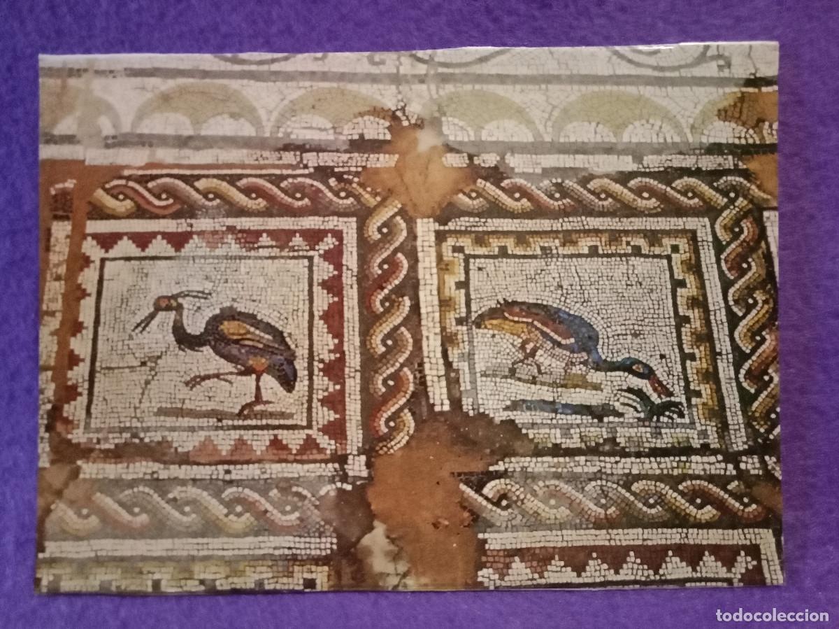 Postales: Postal - Sevilla - Yacimiento Arqueol&oacute;gico Romano de It&aacute;lica - Mosaico, Los P&aacute;jaros