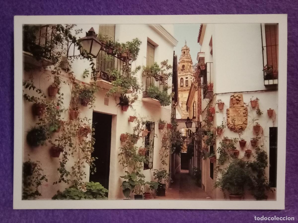 Postales: Postal - C&oacute;rdoba - Callejuelas Tipicas C&oacute;rdobesas - Calle de las Flores