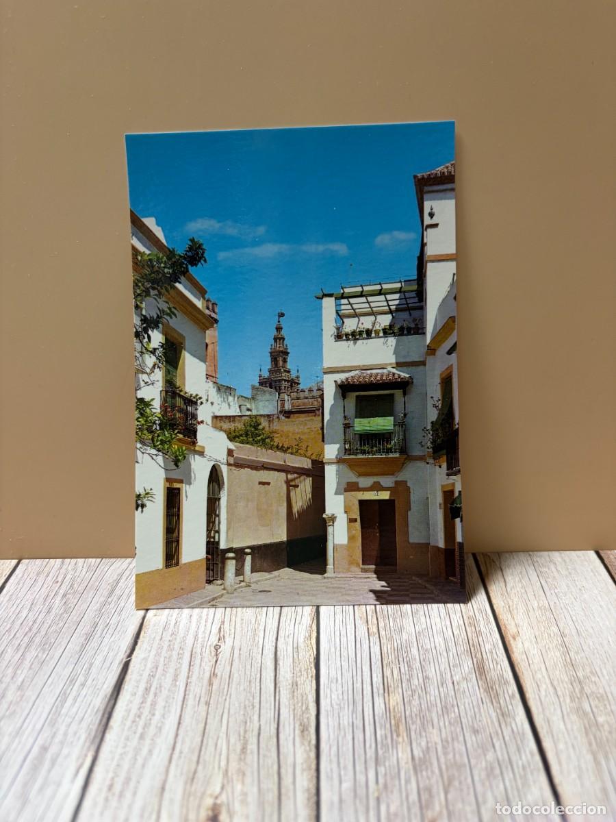 Postales: TARJETA POSTAL. SEVILLA. 139.- JUDER&Iacute;A. EDICIONES ARRIBAS