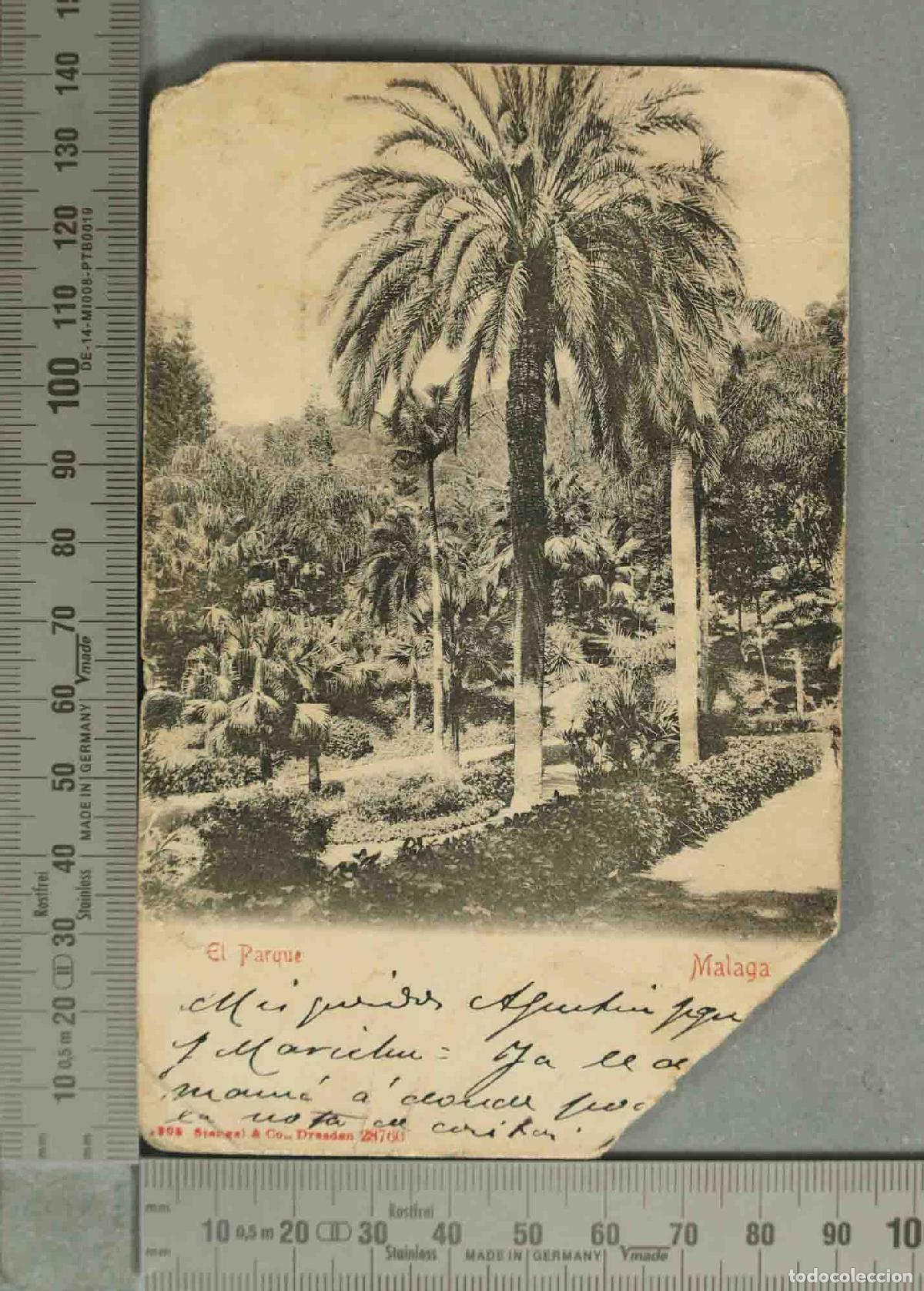 Postales: POSTAL. M&aacute;laga - El Parque - Reverso sin dividir - Stengel and Co.