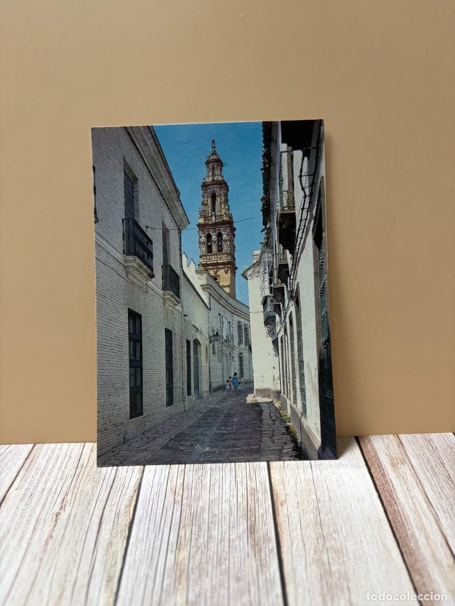 Postales: TARJETA POSTAL. SEVILLA. &Eacute;CIJA. 40.- CALLE DE SAN JUAN DE ANGULO. EDICIONES ARRIBAS
