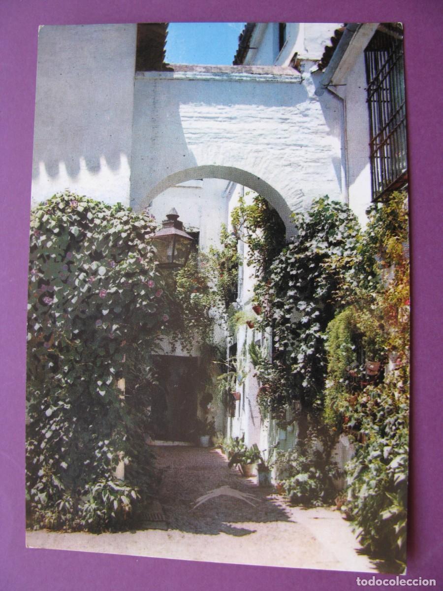 Postales: POSTAL DE CORDOBA. CALLE TIPICA. ZERKOWITZ
