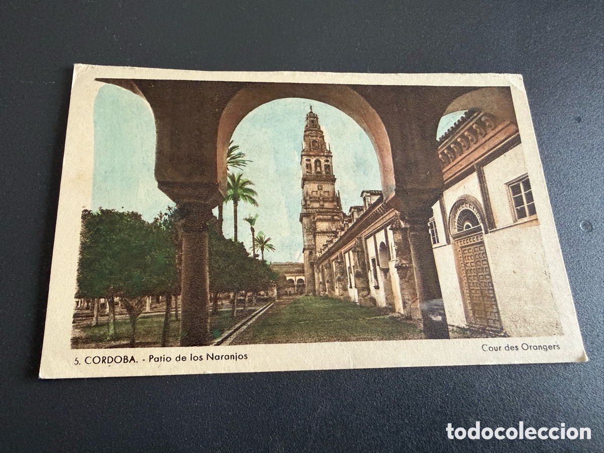 Postales: Postal. 5- C&oacute;rdoba. Patio de los Naranjos. Roisin