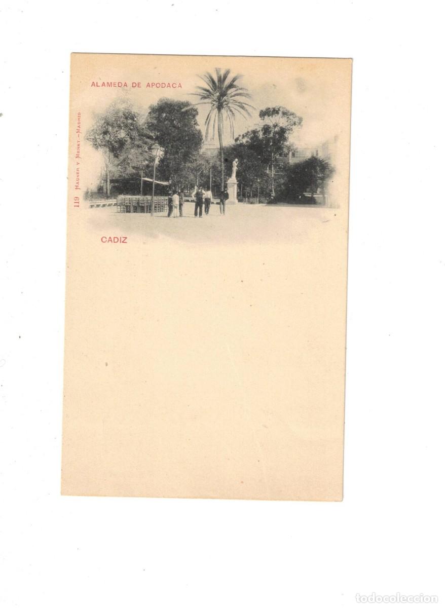 Postales: CADIZ. 119 HAUSER Y MENET. ALAMEDA