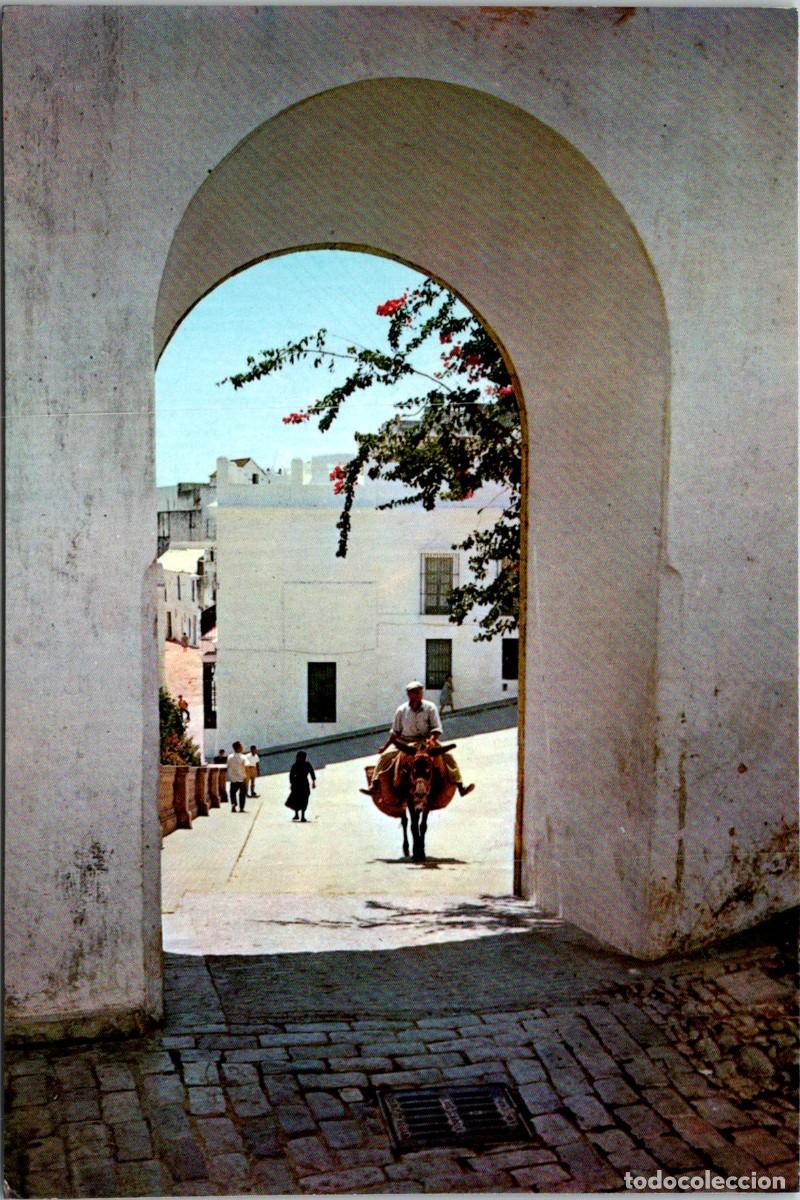 Postcards: Marbella - Bello rinc&oacute;n - Campa&ntilde;&aacute; y Puig Ferr&aacute;n II/8167 - 148x99mm - Burro