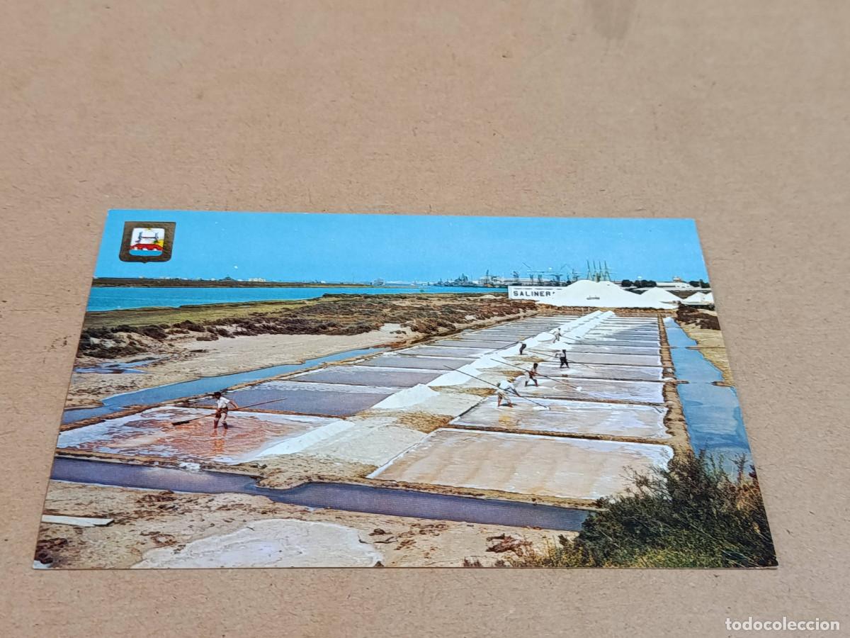 Postales: C&Aacute;DIZ - POSTAL SAN FERNANDO - SALINAS - EXTRACCI&Oacute;N DE SAL EN LOS TAJOS