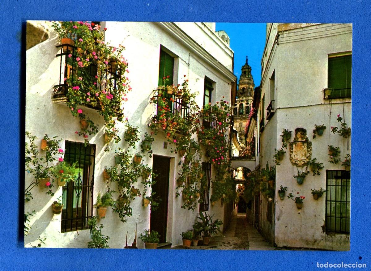 Postales: POSTAL SIN CIRCULAR ANDALUCIA 434 EDITA DAVID