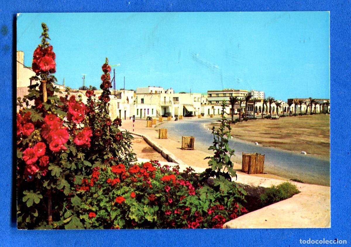 Postales: POSTAL SIN CIRCULAR ROQUETAS DE MAR 57 MALAGA EDITA ORTAMA