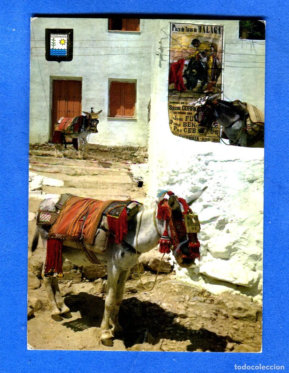 Postales: POSTAL SIN CIRCULAR COSTA DEL SOL 4 EDITA ESCUDO DE ORO