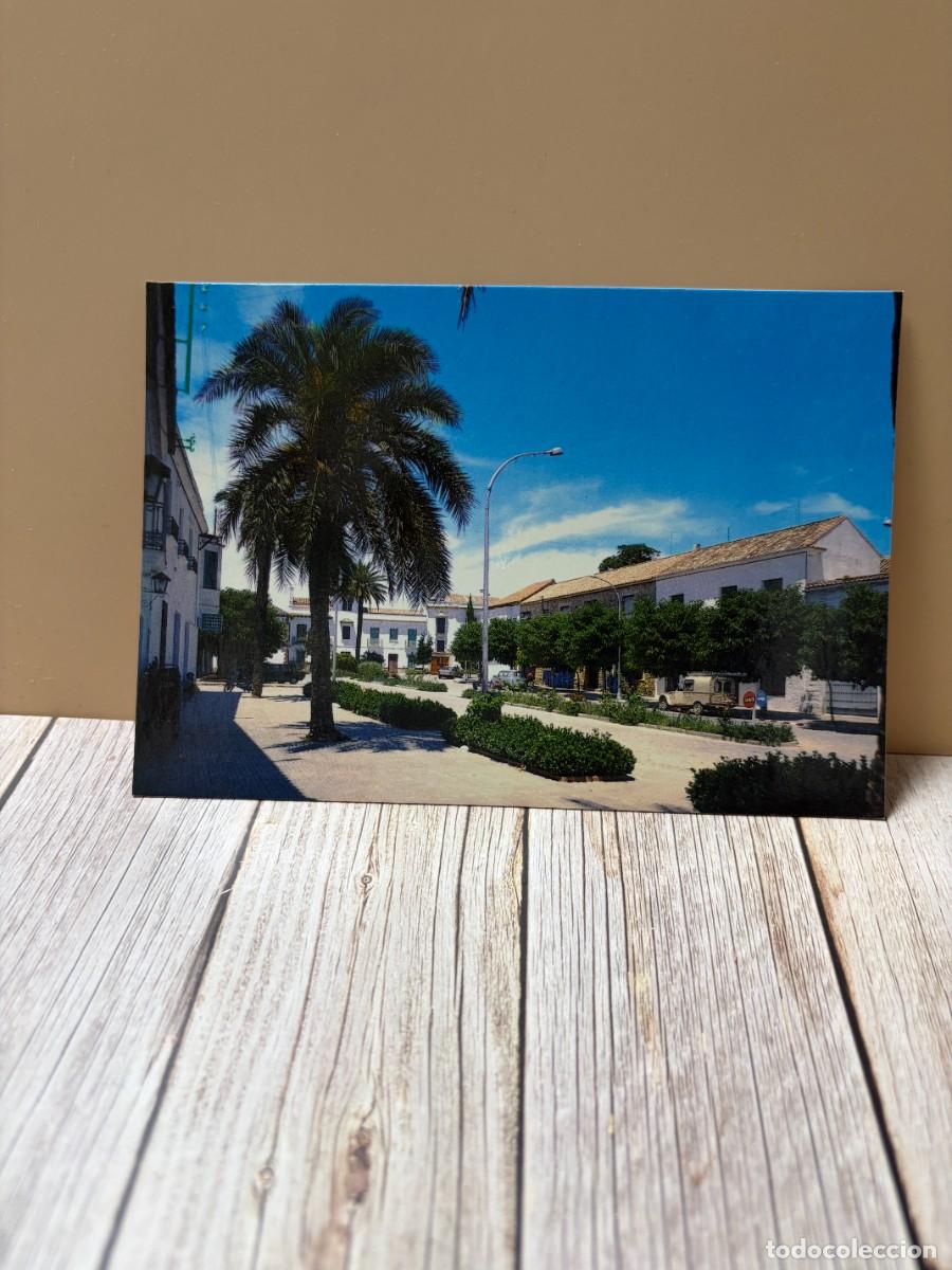 Postales: TARJETA POSTAL. C&Oacute;RDOBA. 1.- CA&Ntilde;ETE DE LAS TORRES. AVDA. DE LA CONSTITUCI&Oacute;N. EDICIONES ARRIBAS