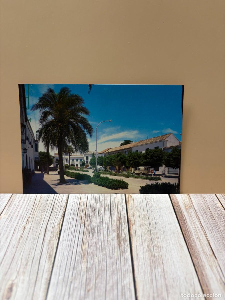 Postales: TARJETA POSTAL. C&Oacute;RDOBA. 1.- CA&Ntilde;ETE DE LAS TORRES. AVDA. DE LA CONSTITUCI&Oacute;N. EDICIONES ARRIBAS