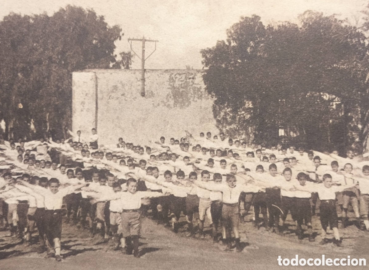 Postales: C&Aacute;DIZ ESCUELAS PROFESIONALES SALESIANAS GRUPO GIMN&Aacute;STICO POSTAL C. 1910