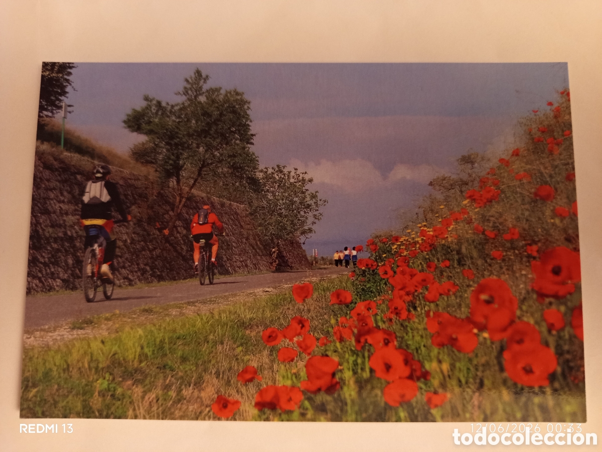 Postales: SUBB&Eacute;TICA CORDOBESA, V&Iacute;A VERDE