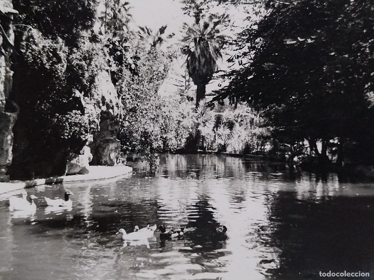 Postales: CADIZ PARQUE GENOV&Eacute;S CASCADA ED ARRIBAS 254 ESCRITA A&Ntilde;O 1959 PRECIOSA