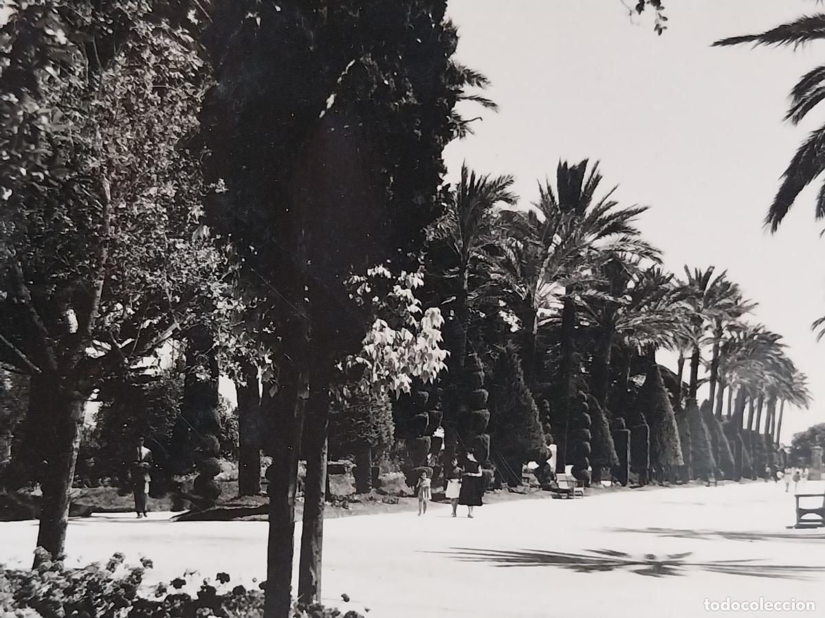 Postales: CADIZ PARQUE GENOVES PASEO CENTRAL ED SICILIA 30 ESCRITA A&Ntilde;O 1959 PRECIOSA ANIMADA