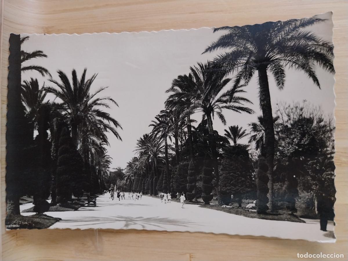 Postales: CADIZ PARQUE GENOVES PASEO CENTRAL ED ARRIBAS 257 ESCRITA NI&Ntilde;OS JUGANDO PELOTA