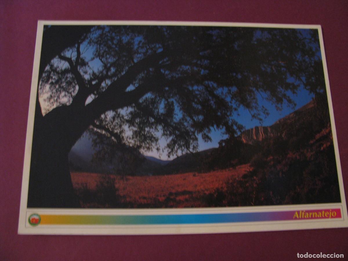 Postales: POSTAL DE ALFARNATEJO. ENCINA Y TAJO BERMEJO. ARGUVAL 1997