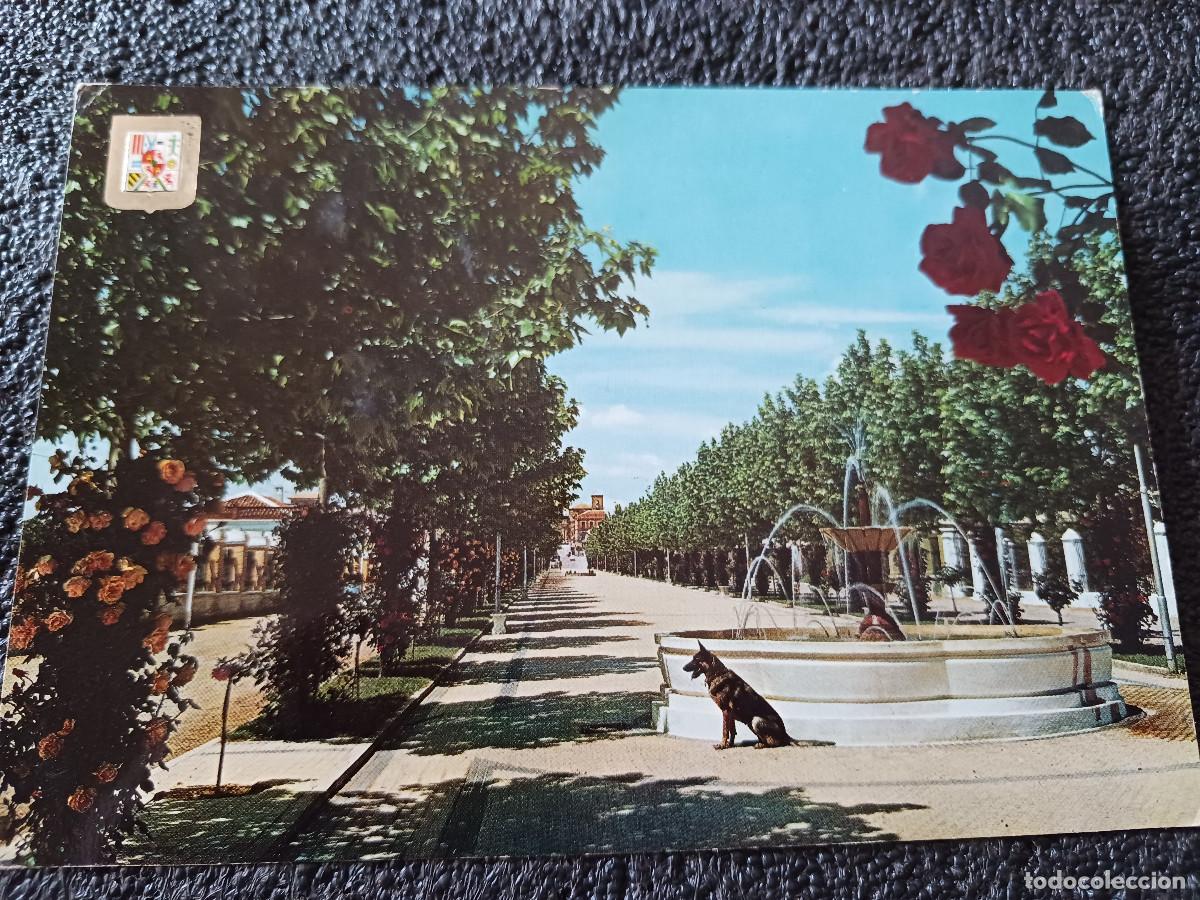 Postales: 1 jaen, la carolina, paseo felipe arche, ed. subirats
