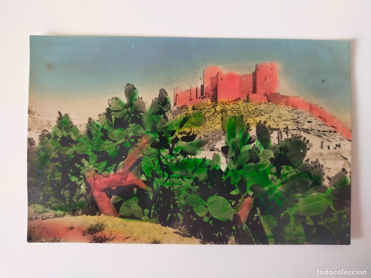 Postales: Tarjeta Postal ALMERIA: Vista de la Alcazaba - Fot Casa Figuerola, Exc Luis Grac&iacute;a (Kiosco Avenida)