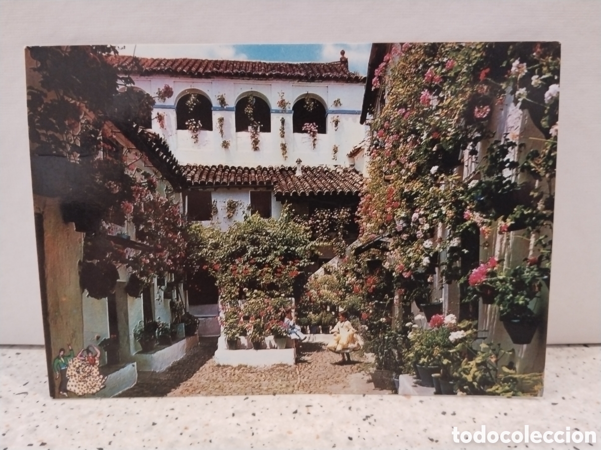 Postales: Postal de C&oacute;rdoba. Patio t&iacute;pico andaluz
