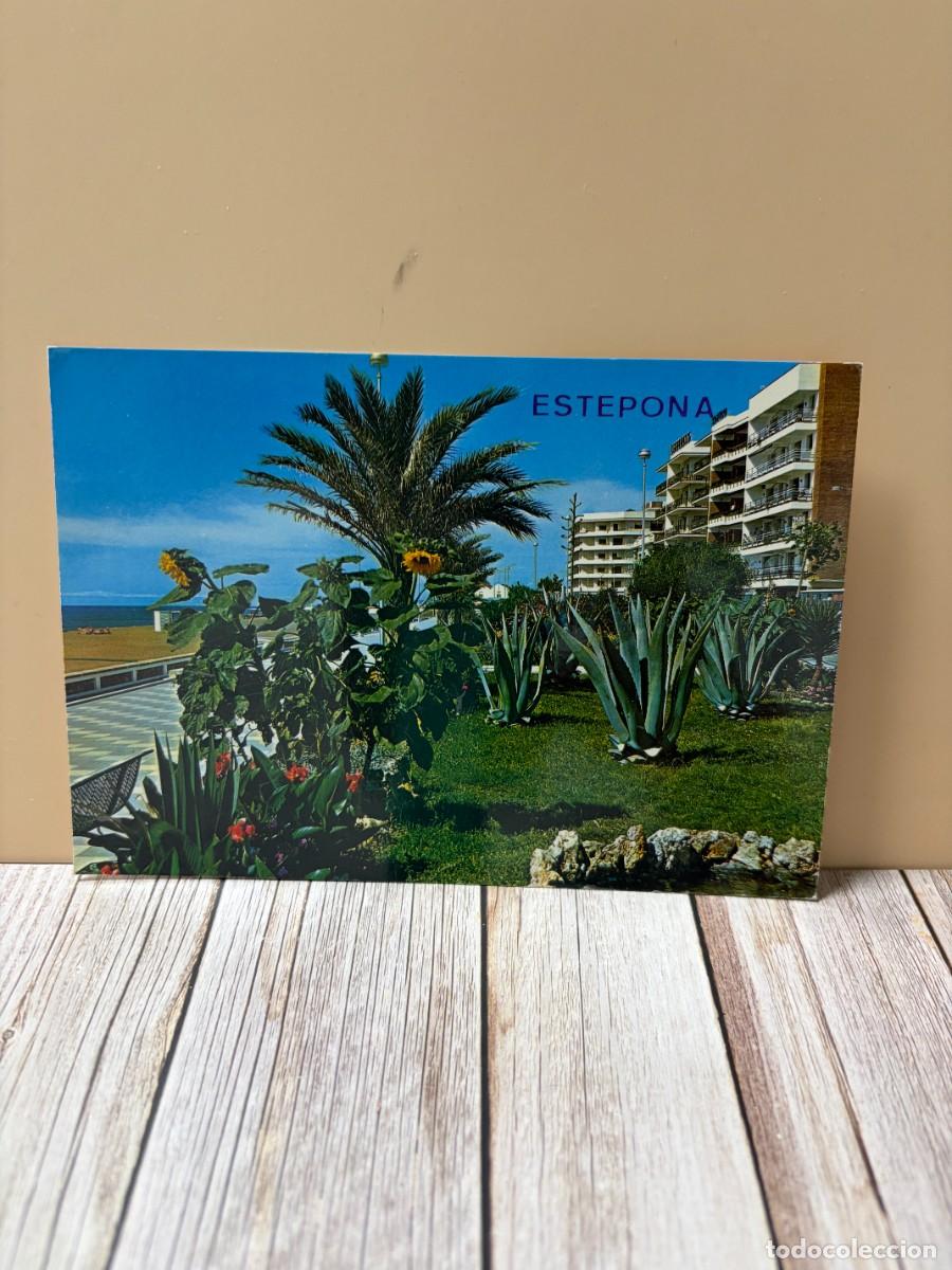 Postales: TARJETA POSTAL. M&Aacute;LAGA. N&ordm; 29.- ESTEPONA. COSTAL DEL SOL. PASEO MAR&Iacute;TIMO.