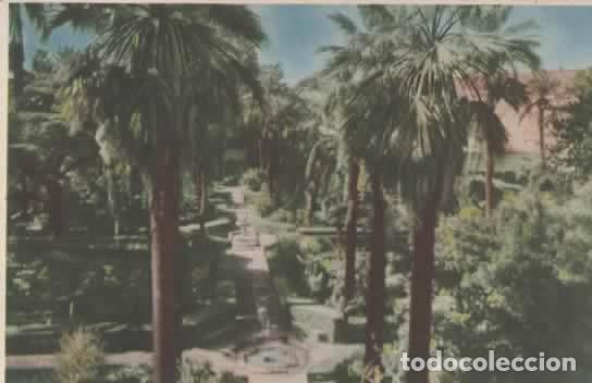 Postales: SEVILLA SIN ESCRIBIR JARDINES ALCAZAR