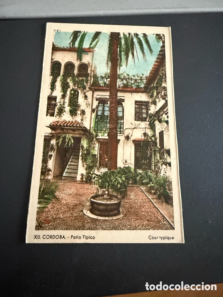 Postales: Postal. C&Oacute;RDOBA. Patio T&iacute;pico. Roisin .