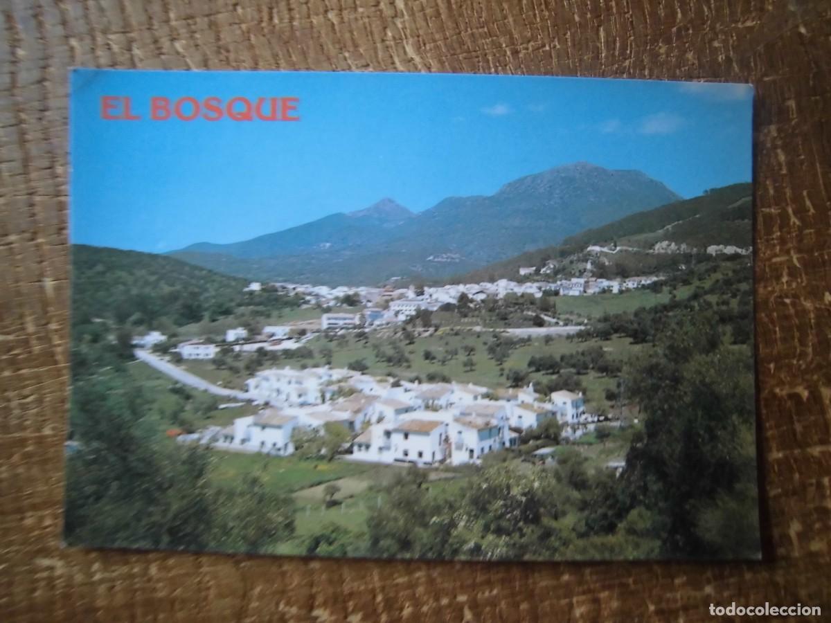 Postales: POSTAL EL BOSQUE C&Aacute;DIZ VISTA GENERAL
