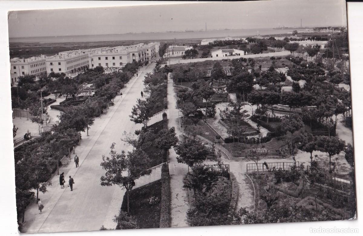 Postales: SAN FERNANDO. PARQUE ALMIRANTE LAULHE 1003. Ediciones ARRIBAS. Sin circular. Formato grande