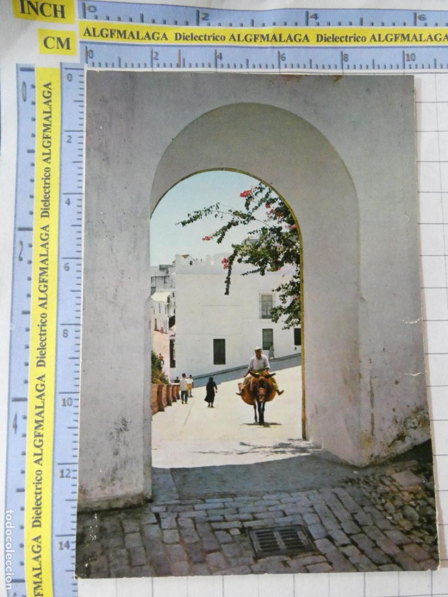 Postales: POSTAL DE M&Aacute;LAGA. A&Ntilde;O 1964. MARBELLA BELLO RINC&Oacute;N CAMPESINO BURRO. 8167 CAMPA&Ntilde;A. 2517