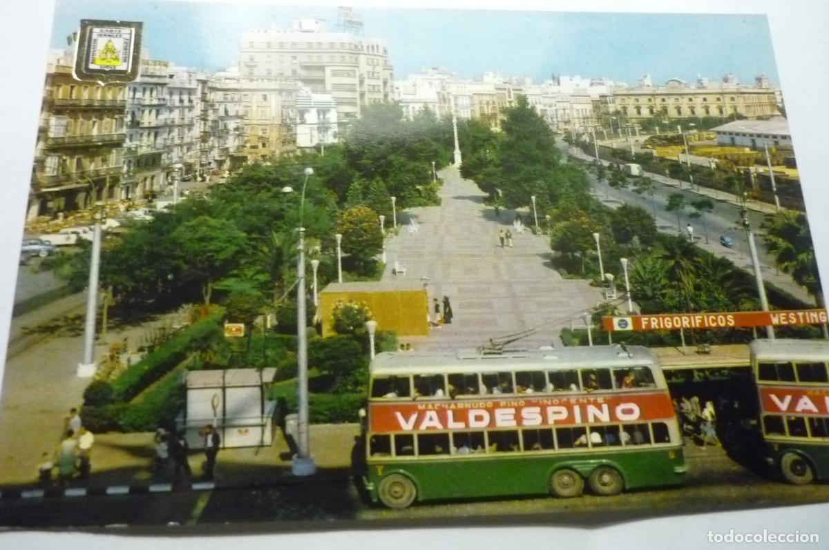 Postales: postal cadiz av. carranza cm