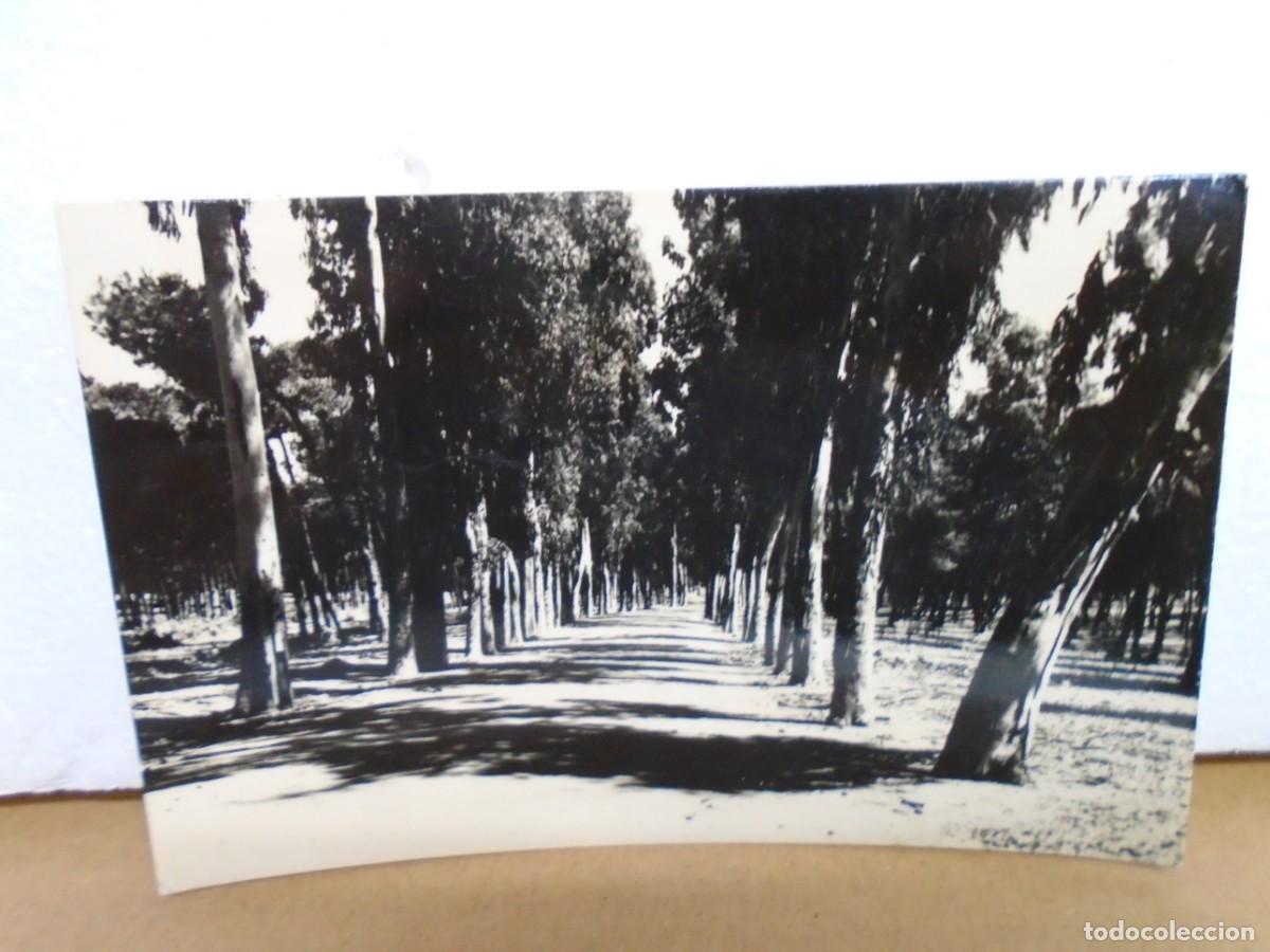 Postales: ISLA CRISTINA(HUELVA)POSTAL CIRCULADA 1964.EDIC. ALARDE, N&ordm; 29.