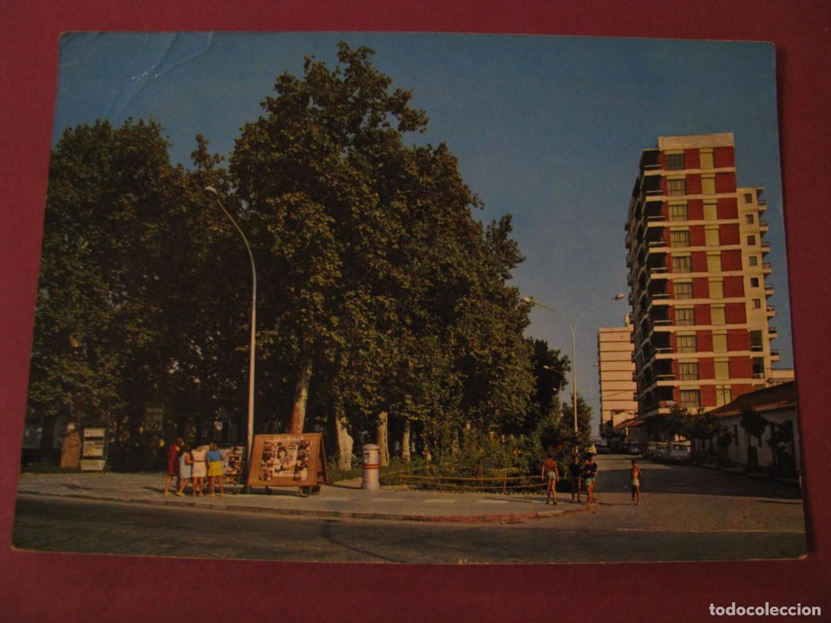 Postales: POSTAL DE TORRE DEL MAR. VISTA PARCIAL DEL PASEO